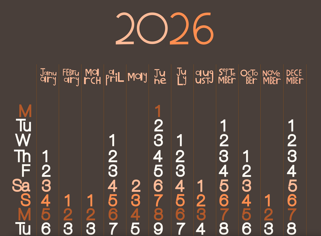 Visual Mini Calendar 250mm x 500mm